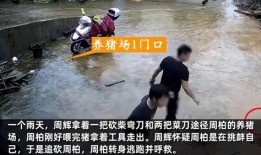 正当防卫爆料案例视频,视频揭露惊人真相