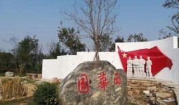 周口森林公园爆料视频播放,探秘自然奇观，感受生态魅力