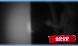 三个爆料视频大全,深度解析爆料内容背后的真相与内幕