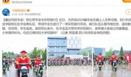 四川某职业学院爆料新闻,校园事件引发社会关注