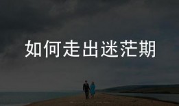 走出迷茫在线观看,探索人生新篇章的在线之旅