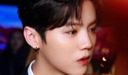 圈内爆料鹿晗魏晨,幕后故事揭秘