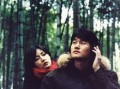 韩国电影春逝 在线观看,一场跨越季节的深情邂逅