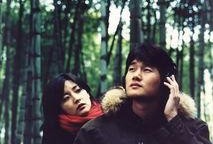 韩国电影春逝 在线观看,一场跨越季节的深情邂逅