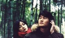 韩国电影春逝 在线观看,一场跨越季节的深情邂逅