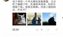 美景精彩爆料视频下载免费,揭秘热门视频背后的绝美风光