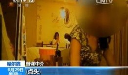 央视暗访爆料是真的吗视频,揭秘真实内幕，真相令人震惊