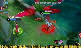 王者教官爆料皮肤视频