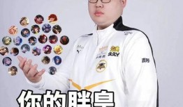 是谁爆料小胖的视频啊图片,幕后爆料者身份曝光