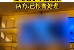 各大餐厅爆料视频播放大全,揭秘美食背后的秘密与故事