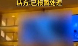各大餐厅爆料视频播放大全,揭秘美食背后的秘密与故事