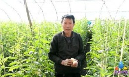 印象民勤最新爆料,揭秘最新爆料背后的故事与真相