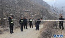 保定唐县爆料事件最新进展