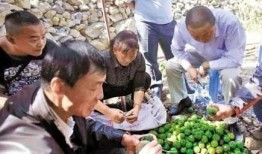 徽县网红吃瓜事件始末,从热议到真相大白