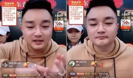 爆料打假人视频大全最新,打假人视频大全深度解析