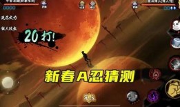 新年忍者爆料视频,揭秘忍者世界不为人知的秘密