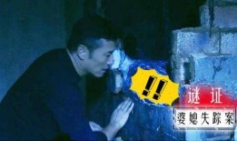 神秘失踪 在线观看,揭秘离奇事件背后的真相