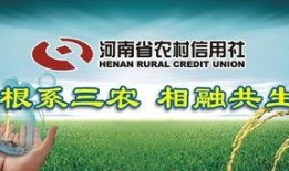 河南农信社最新爆料,揭秘金融领域新动态与挑战
