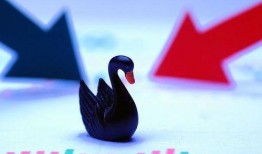 黑天鹅最新爆料消息,揭秘惊天秘密背后的惊人真相