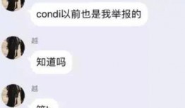 庄家队友爆料视频大全