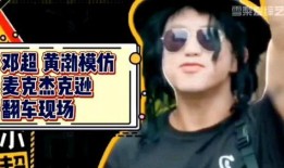 陈赫鹿晗的爆料视频在哪看,揭秘幕后真相