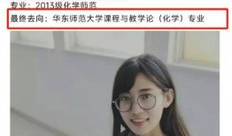 最新爆料网上海出轨女子,最新爆料揭露惊人真相