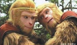 西游六耳猕猴爆料视频,西游世界背后的惊天秘密