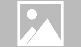 坏种在线观看,在线揭秘人性的黑暗面