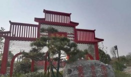 周口森林公园爆料视频播放,探秘自然奇观，感受生态魅力