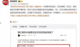 霸凌爆料模板大全视频,视频解析与案例分析