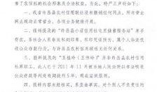 河南农信社最新爆料,揭秘金融领域新动态与挑战