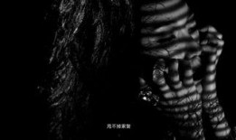 心灰在线观看,揭秘网络世界的情感救赎之旅