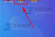 芒果tv看视频怎么有星探爆料,揭秘热门视频背后的精彩故事