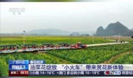 玉林头条最新爆料,重大事件背后惊人真相揭晓！