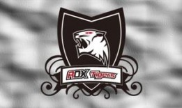 edg转会最新爆料新闻,神秘阵容重组，新赛季战力几何？