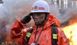 火线出击 在线观看,紧张刺激的在线警匪对决