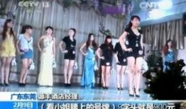 央视暗访爆料是真的吗视频,揭秘真实内幕，真相令人震惊