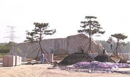 周口森林公园爆料视频播放,探秘自然奇观，感受生态魅力