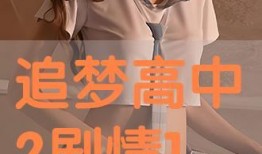 追梦高中2在线观看,青春再燃，梦想不止