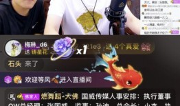 亮哥爆料自媒体视频大全,自媒体视频大全背后的精彩故事