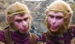 西游六耳猕猴爆料视频,西游世界背后的惊天秘密