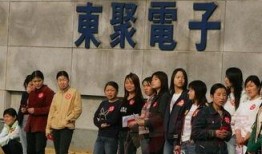 东莞爆料最新新闻今天,聚焦城市动态与民生焦点