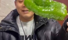 新疆男网红吃瓜,揭秘瓜界风云人物