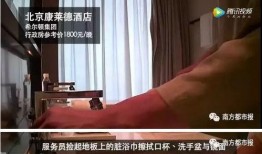 各大餐厅爆料视频播放大全,揭秘美食背后的秘密与故事
