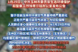 玉林头条最新爆料,重大事件背后惊人真相揭晓！