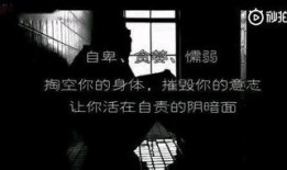 正能量视频新闻爆料最新,正能量满满！最新视频新闻爆料揭示感人故事