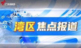 广东电视台新闻爆料网上,揭秘网络热点事件背后真相