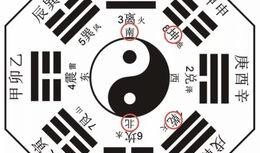 各种八卦爆料视频大全下载,八卦爆料视频大全深度解析