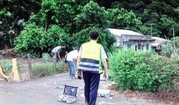 哥哥射在线观看,揭秘网络热门剧情，带你领略青春激情