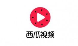 西瓜视频独家爆料软件